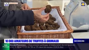 Grimaud: 10.000 amateurs présents au marché Truffe en fête malgré une année difficile