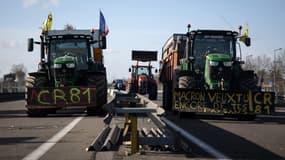 Des tracteurs arborant des pancartes "Macron, tu veux encore tes agriculteurs ?" à proximité d'Albi (Tarn) lors de la manifestation des agriculteurs contre la gestion de la crise de la dermatose bovine mi-décembre 2025.