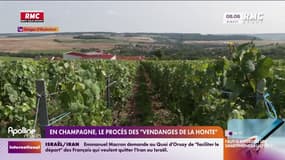 En Champagne, le procès des "vendanges de la honte" s'ouvre 