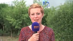 Coupe Davis - Pitkowski : "Il y aura forcément des regrets"