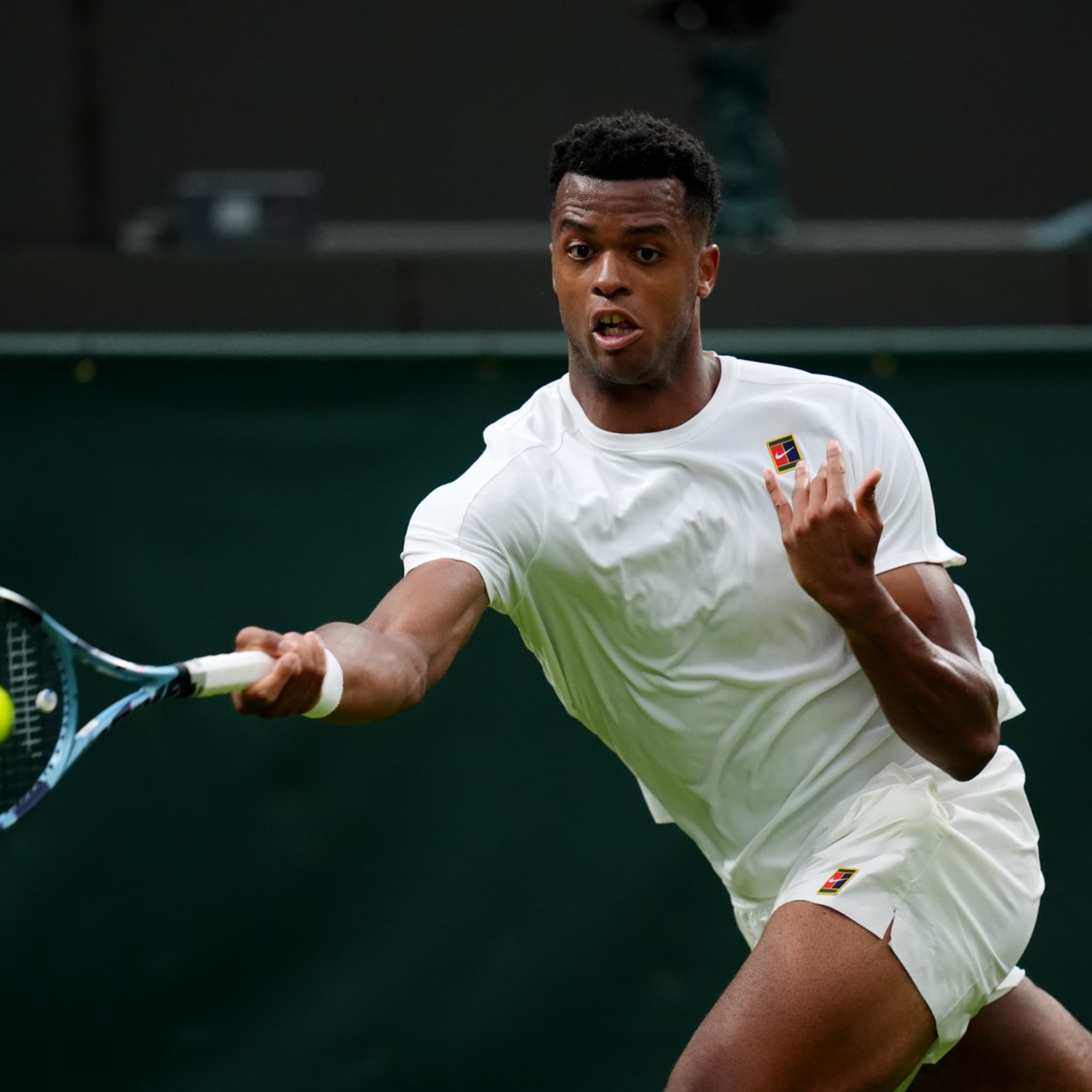 DIRECT. Wimbledon: Mpetshi Perricard et Rinderknech stoppés par le  couvre-feu