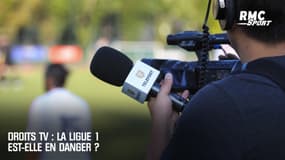 Droits TV : la Ligue 1 est-elle en danger ?