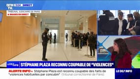 Procès Stéphane Plaza: l'animateur condamné à 12 mois de prison avec sursis