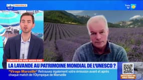 Une association demande l'inscription de la lavande au patrimoine mondial de l'Unesco