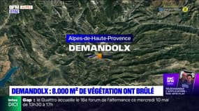 Alpes-de-Haute-Provence: 8000 m² de végétation et de bois coupé touchés par un incendie à Demandolx