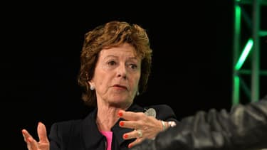La néerlandaise Neelie Kroes a été ministre et député aux Pays-Bas puis responsable de la concurrence dans la première commission Barroso, puis commissaire européenne chargée de la société numérique de 2010 à 2014.