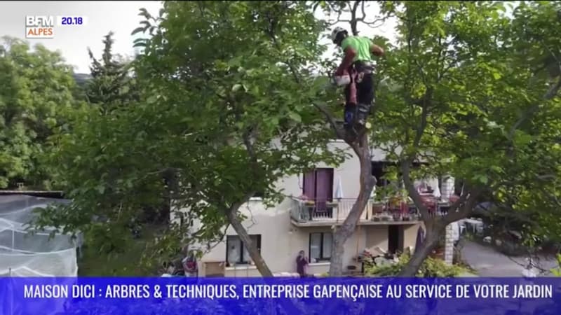 MAISON DICI : Arbres et techniques, entreprise gapençaise au service de votre jardin