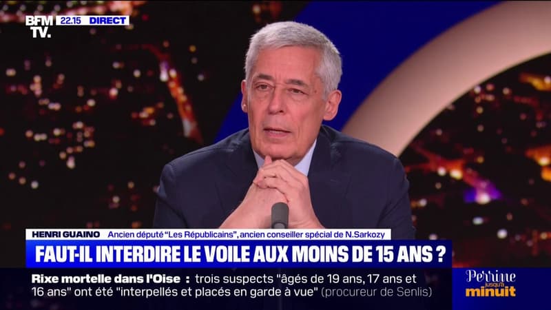 Rapport sur les Frères musulmans: 