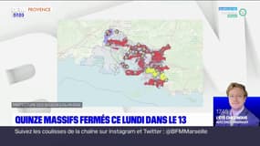 Bouches-du-Rhône: 15 massifs forestiers fermés ce lundi face au risque de feux de forêt