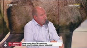Cerf pourchassé : Didier Giraud défend la chasse à courre ! 