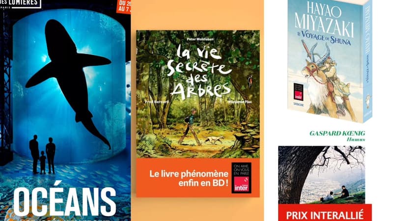 Expositions, livres, BD... Voici une sélection d'idées cadeaux pour les passionnés d'écologie.