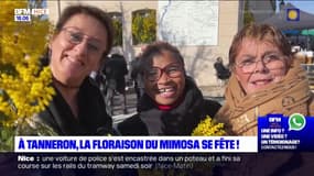 À Tanneron, la floraison du mimosa a été fêtée toute la journée de ce dimanche