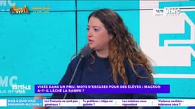 Emmanuel Macron : "Il veut faire du Trump", critique Elise Goldfarb