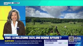 Le coffre-fort : Vins, le millésime 2025... une bonne affaire ? - 01/10