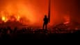 Un pompier debout devant des arbres en flammes près de Belin-Béliet (sud-ouest), le 11 août 2022 