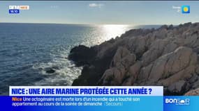 Nice : une aire marine protégée cette année ?