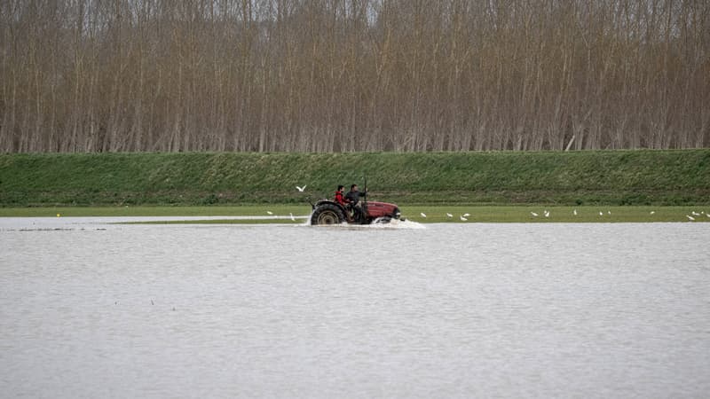 Crues: dos au mur, des agriculteurs optent pour les cagnottes en ligne
