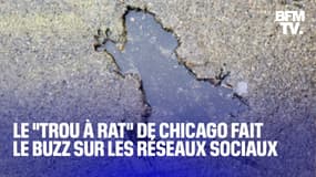  Le "trou à rat" de Chicago fait le buzz sur les réseaux sociaux