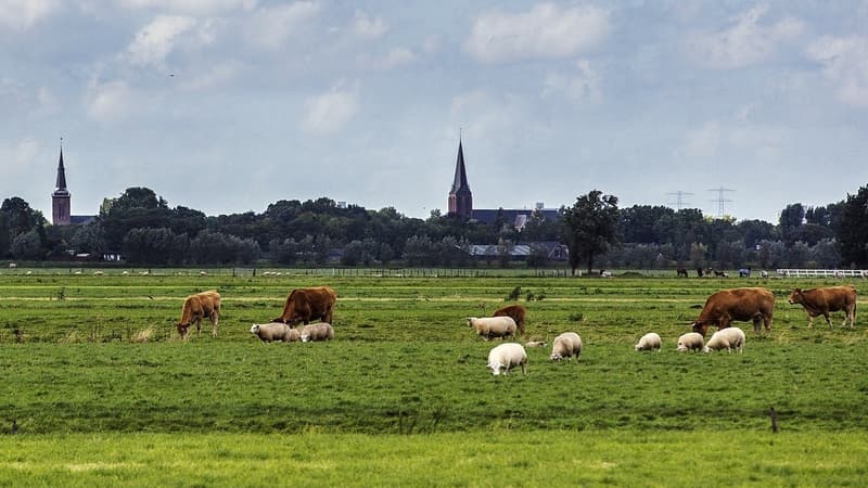 Un paysage de campagne - Image d'illustration