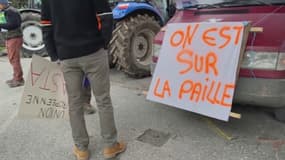 Agriculteurs en colère: de nouvelles actions envisagées 