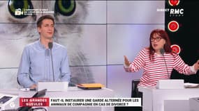 Faut-il instaurer une garde alternée pour les animaux de compagnie en cas de divorce ? – 23/04
