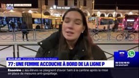 Île-de-France: une femme accouche dans un train de la ligne P