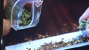 Cannabis: un jeune sur deux en a déjà fumé avant l’âge de 17 ans