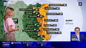 Météo Alsace: de fortes chaleurs au nord de la région et des risques d'averses au sud, 28°C à Altkirch, 34°C à Haguenau