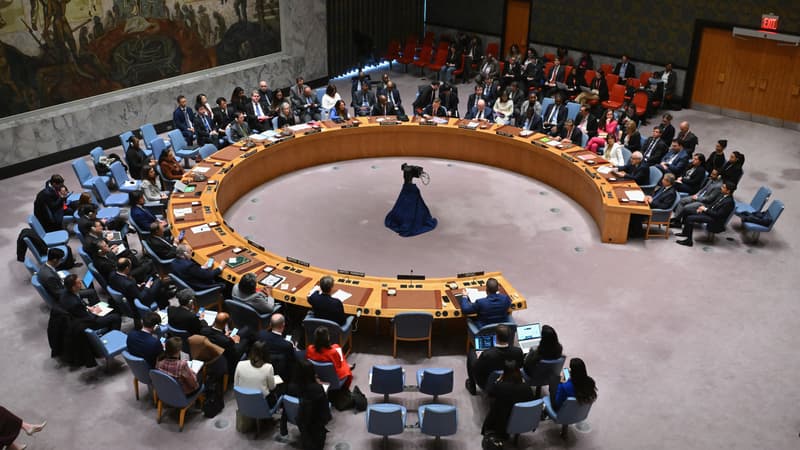 Adhésion des Palestiniens à l'ONU: le Conseil de sécurité donnera sa réponse d'ici fin avril