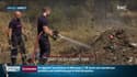 Illustration - Des pompiers éteignent un feu à Saint-Gilles dans le Gard