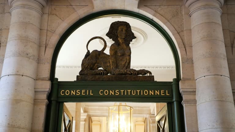 Le Conseil constitutionnel se penche sur la loi climat