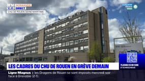 Seine-Maritime: les cadres du CHU de Rouen en grève vendredi
