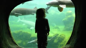 Une fillette de 4 ans oubliée au zoo - Jeudi 7 avril 2016