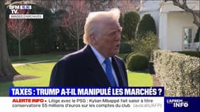 Droits de douane: Donald Trump suspecté de délit d'initié