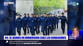 Alpes-de-Haute-Provence: 15 jeunes en immersion chez les gendarmes