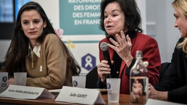 Sylvie Pierre-Brossolette, le 3 mars 2020, lors d'une conférence de presse à Paris pour l'inauguration de "La cité audacieuse", lieu dédié aux droits des femmes