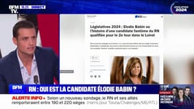 Elections législatives : qui est Élodie Babin, la candidate du RN, qualifiée pour le second tour, sans faire campagne ?