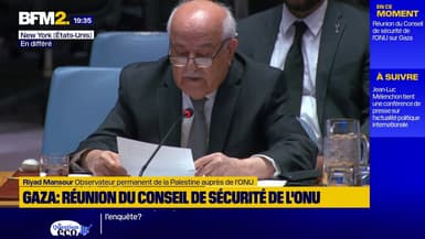 Gaza: "Nous réaffirmons notre volonté de travailler avec les États-Unis pour garantir le respect de l'accord de cessez-le-feu", déclare l'ambassadeur de la Palestine à l'ONU