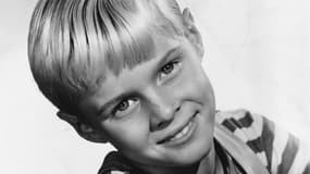 Jay North dans le rôle de Denis la malice en 1960.