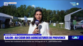 BFM Marseille Provence au Salon des agricultures de Provence