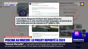 Projet de piscine au Mucem: une "manifestation populaire" organisée le 7 juillet par l'association des Libres Nageurs