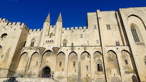 Le tagueur a été confondu grâce à la vidéo surveillance du Palais des papes, où il avait écrit "Mohamad le profet était un cochon" en lettres rouges.