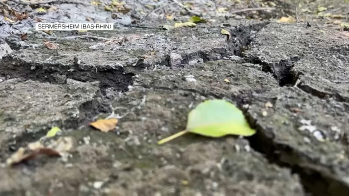 placeholder video