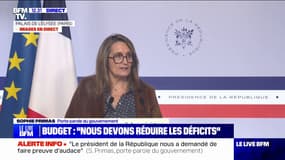 Agriculture: "Les texte agricoles seront dans les premiers examinés à l'Assemblée nationale et au Sénat", affirme Sophie Primas, porte-parole du gouvernement