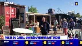 Puces du Canal: une réouverture attendue