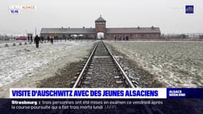 Des lycéens d'Haguenau en visite à Auschwitz 