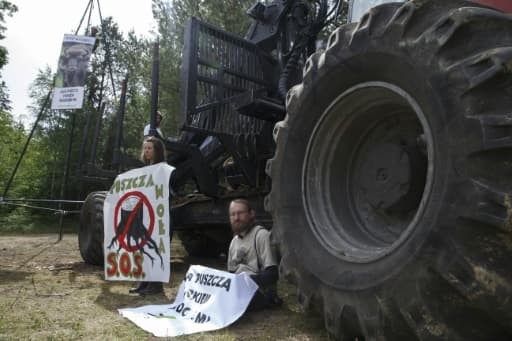 Des écologistes bloquent des engins forestiers utilisés pour la coupe des arbres de la forêt de Bialowieza (est de la Pologne), le 8 juin 2017 Des écologistes bloquent des engins forestiers utilisés pour la coupe des arbres de la forêt de Bialowieza (est de la Pologne), le 8 juin 2017