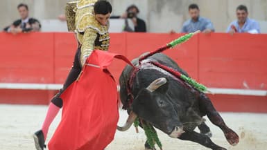 Une corrida dans les arènes de Nîmes. (Photo d'illustration)