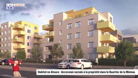 Habitat en Alsace : Accession sociale à la propriété dans le Quartier de la Meinau