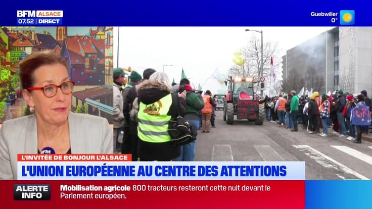 L'invitée de Bonjour Alsace du mercredi 21 janvier 2026 - Fabienne Keller